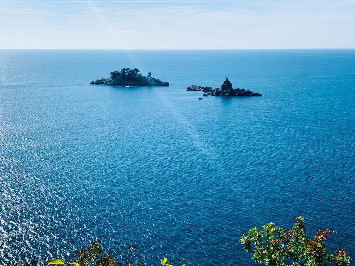 Best View Apartment Petrovac Dış mekan fotoğraf